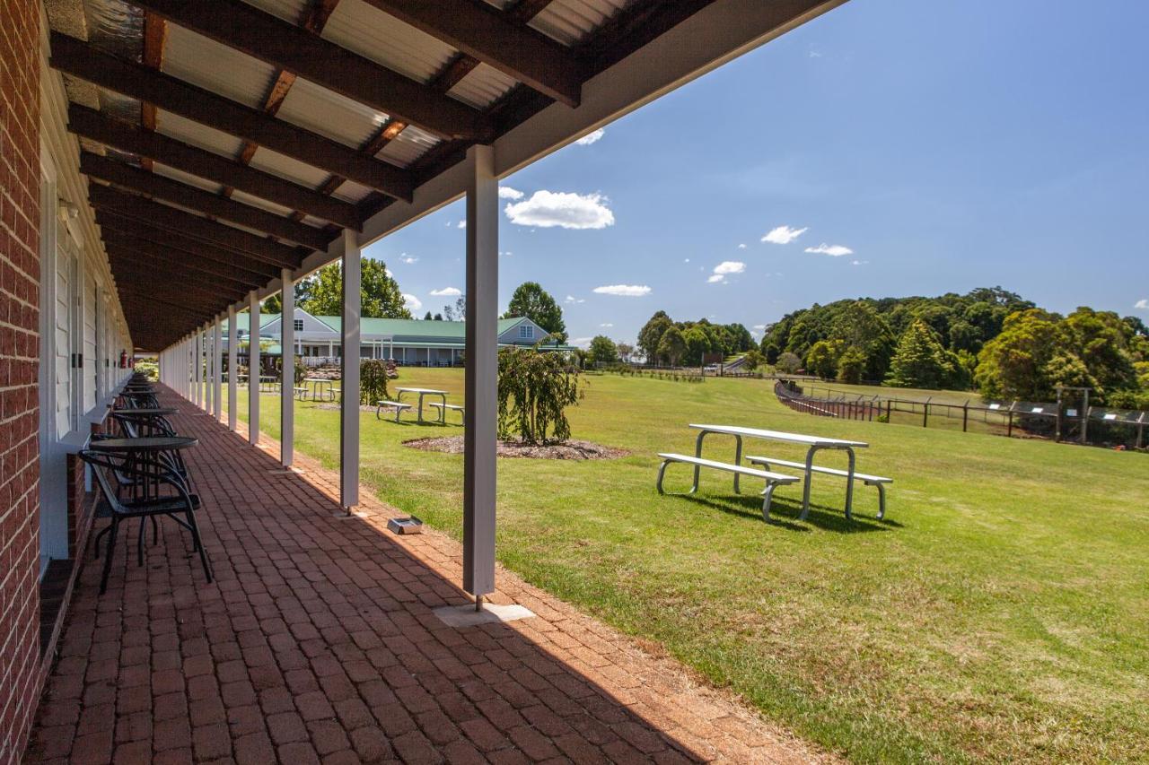 Motel Lookout Mountain Retreat Dorrigo Zewnętrze zdjęcie