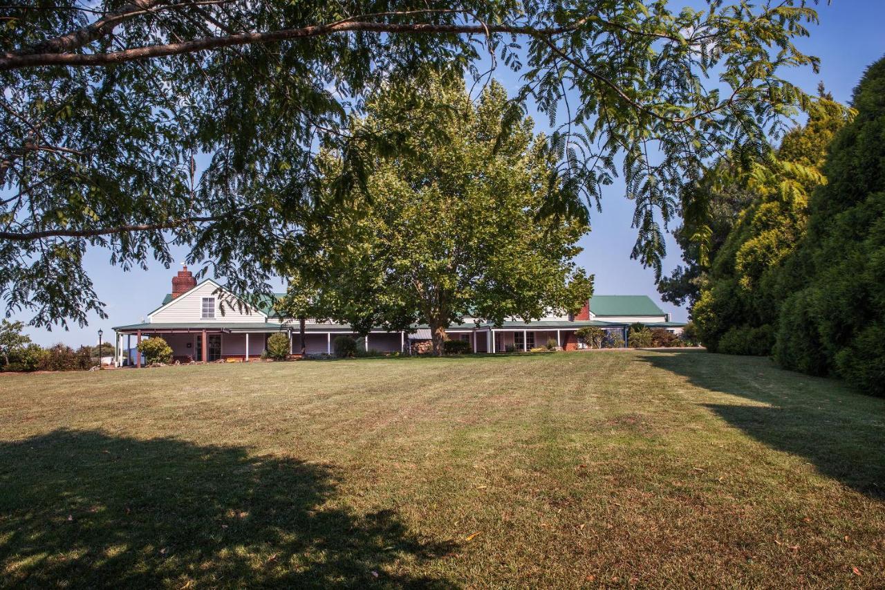 Motel Lookout Mountain Retreat Dorrigo Zewnętrze zdjęcie