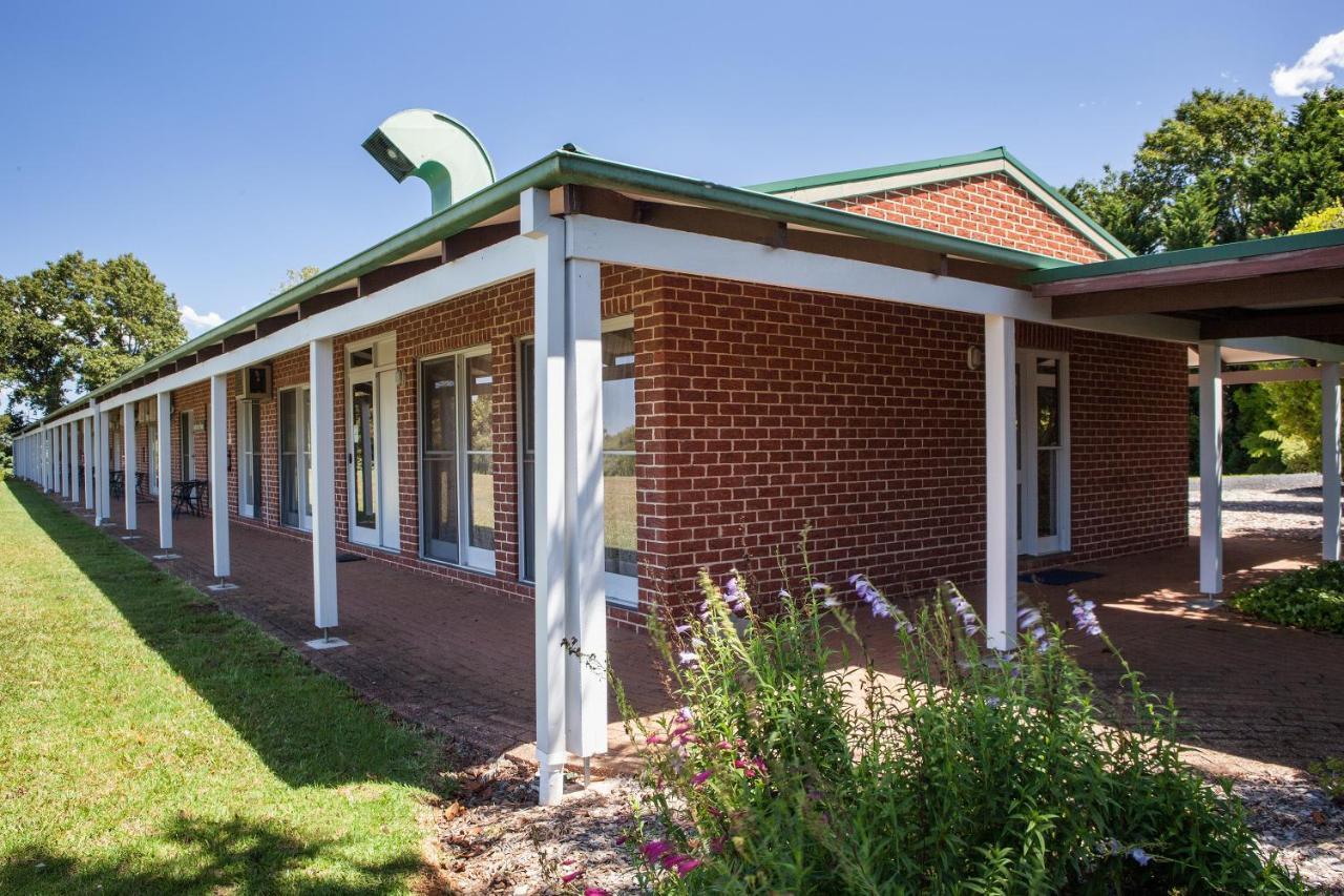 Motel Lookout Mountain Retreat Dorrigo Zewnętrze zdjęcie