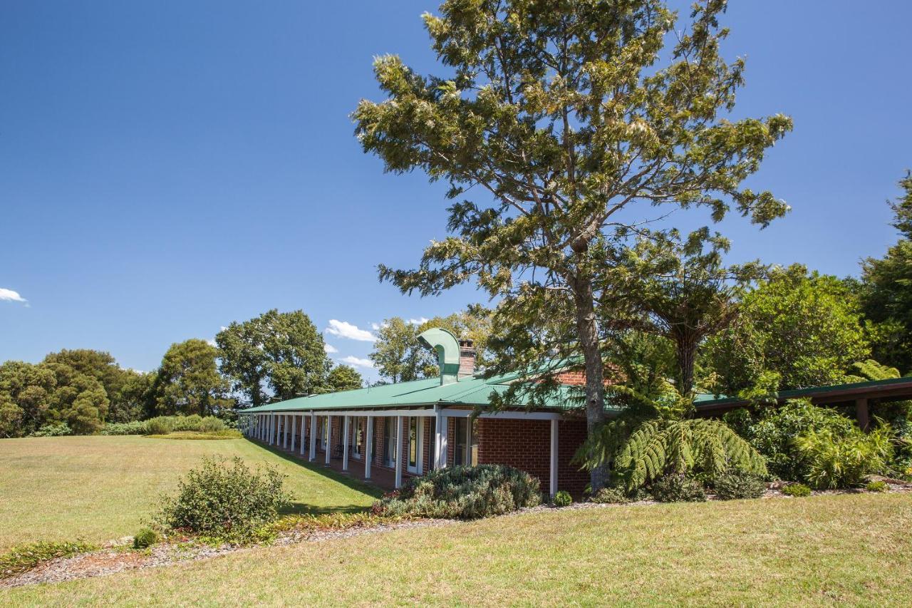 Motel Lookout Mountain Retreat Dorrigo Zewnętrze zdjęcie