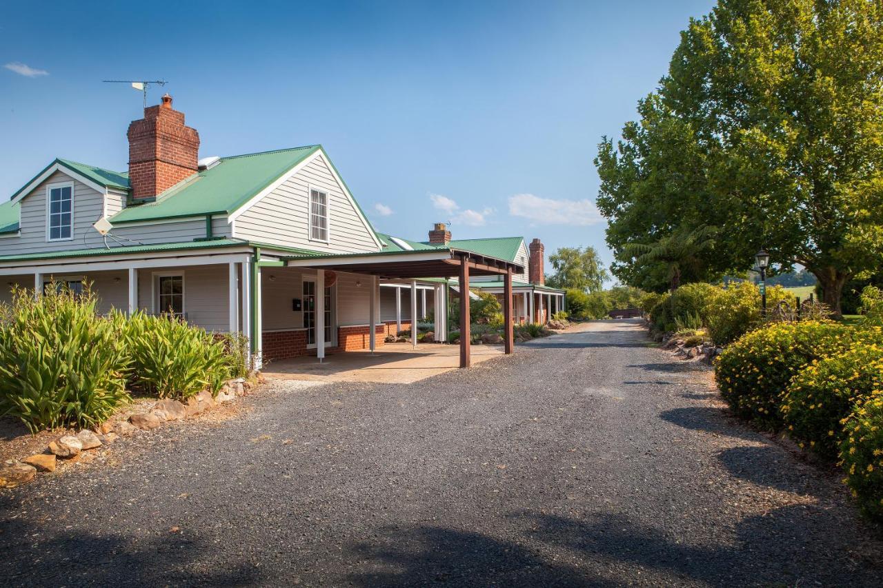 Motel Lookout Mountain Retreat Dorrigo Zewnętrze zdjęcie
